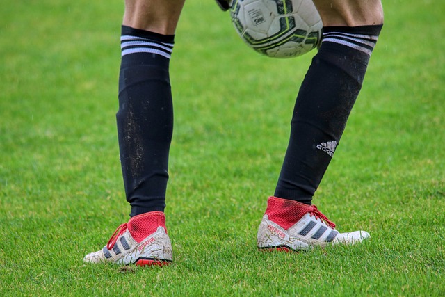 学校还为学 学校还为学