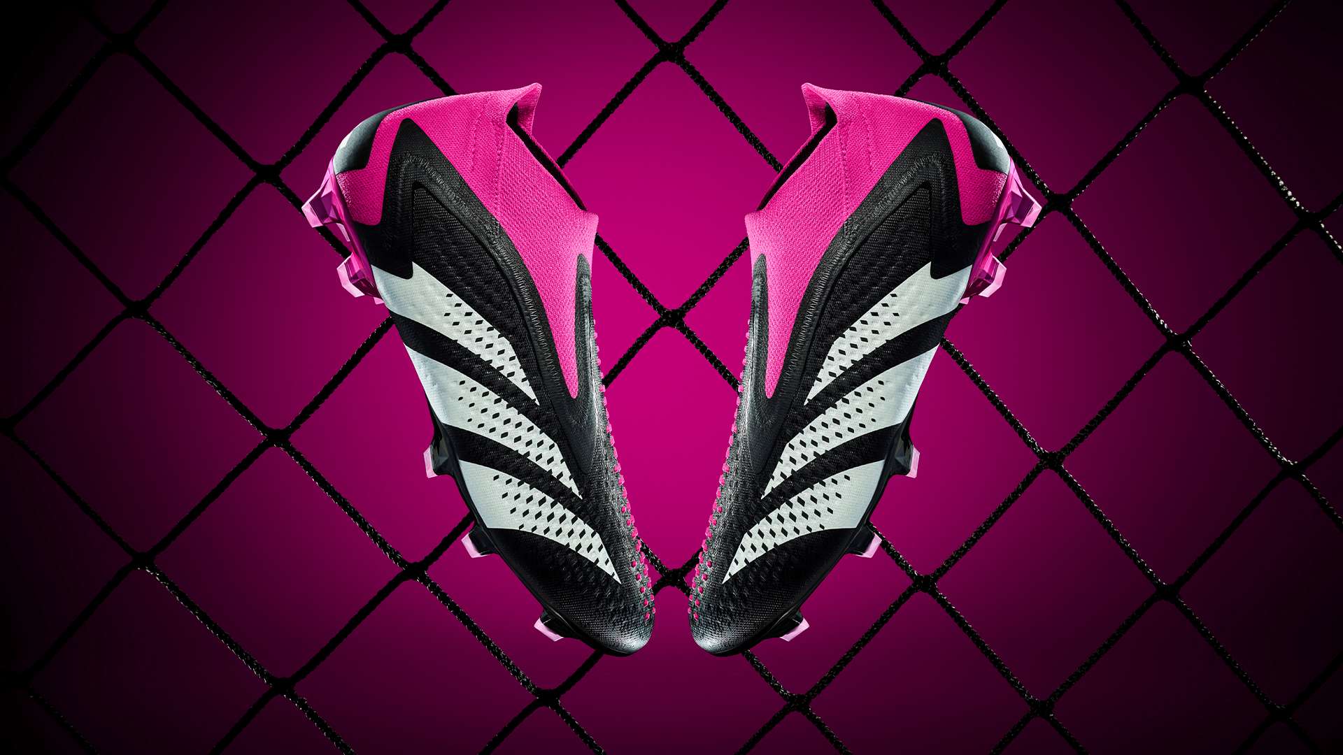 他的影响力 他的影响力