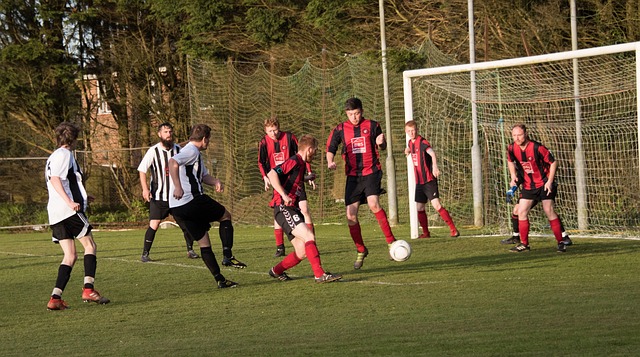 提质增效 提质增效